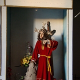 IMGP3727