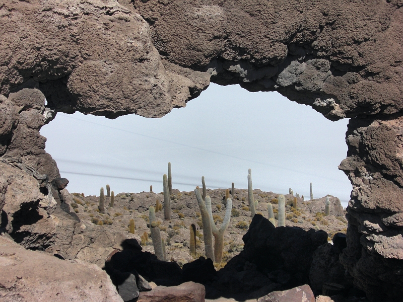 029_CIMG0264.JPG - Arche de corail.