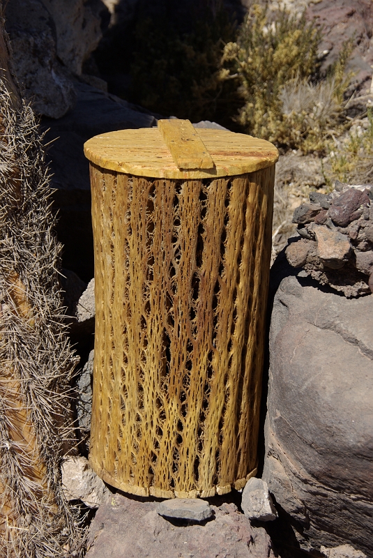 057_IMGP2984.JPG - Une des utilisations des troncs de cactus.