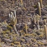073_IMGP2999