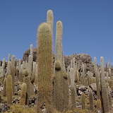 081_IMGP3012