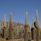083_IMGP3013