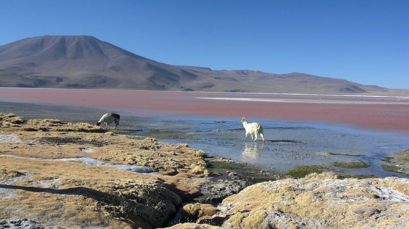 011_CIMG0075.JPG