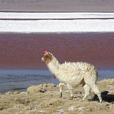 009_IMGP3310