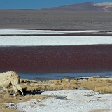 010_CIMG0073