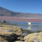 011_CIMG0075