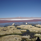 012_IMGP3311