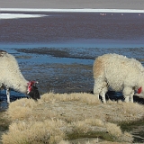 013_CIMG0079