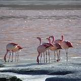 036_IMGP3348