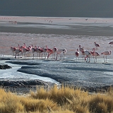 037_CIMG0101