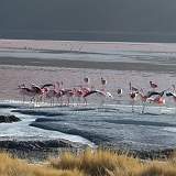 038_CIMG0102