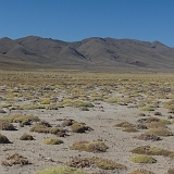 003_CIMG0014