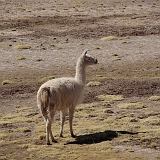 020_IMGP2389