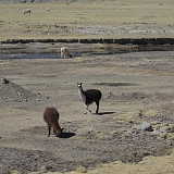 021_CIMG0053