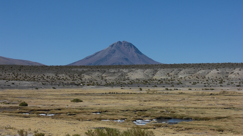 015_CIMG0211.JPG