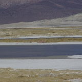 105_IMGP3960
