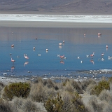 111_CIMG0313