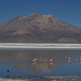 113_IMGP3967