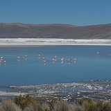 115_CIMG0314