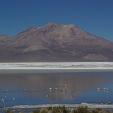 119_IMGP3965