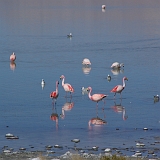 121_IMGP3966