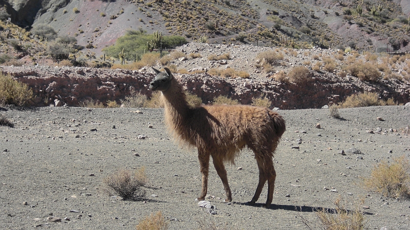 063_CIMG0310.JPG