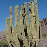 016_CIMG0298