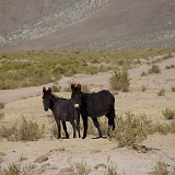 024_IMGP2547