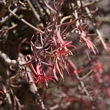 044_IMGP2565