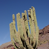 050_IMGP2573