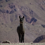 056_IMGP2582