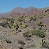 059_CIMG0282