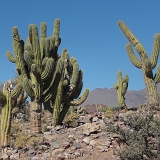 061_CIMG0291