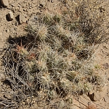 069_IMGP2596