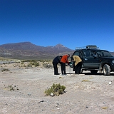 080_CIMG0340