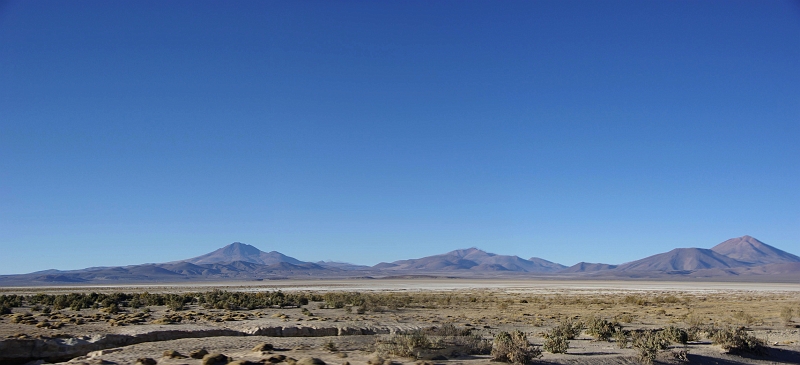 013_IMGP3074_3075.JPG - L'Altiplano.À la fin de l'époque pléistocène, l'Altiplano était recouvert d'un vaste lac, le Ballivián. Aujourd'hui, cette étendue d'eau est à l'origine du lac Titicaca et du lac Poopó. Le Salar de Uyuni ainsi que le Salar de Coipasa sont deux grands lacs de sel formés lors de l'assèchement du Ballivián.