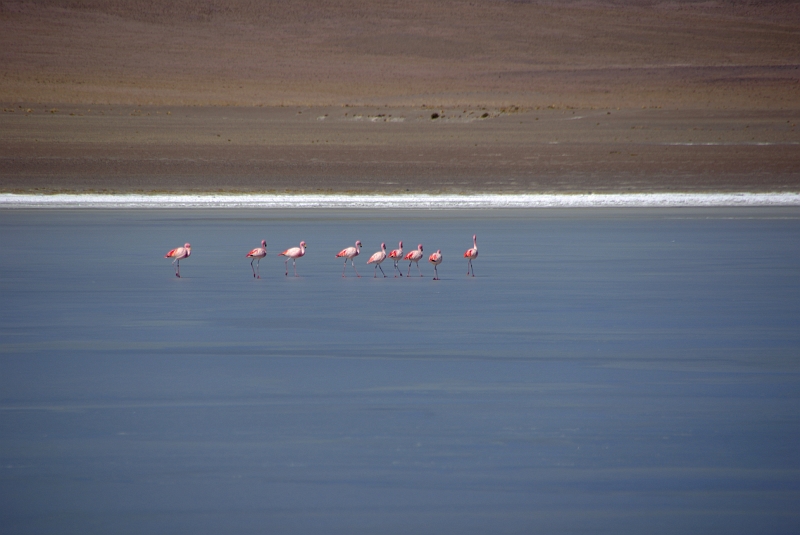 081_IMGP3165.JPG