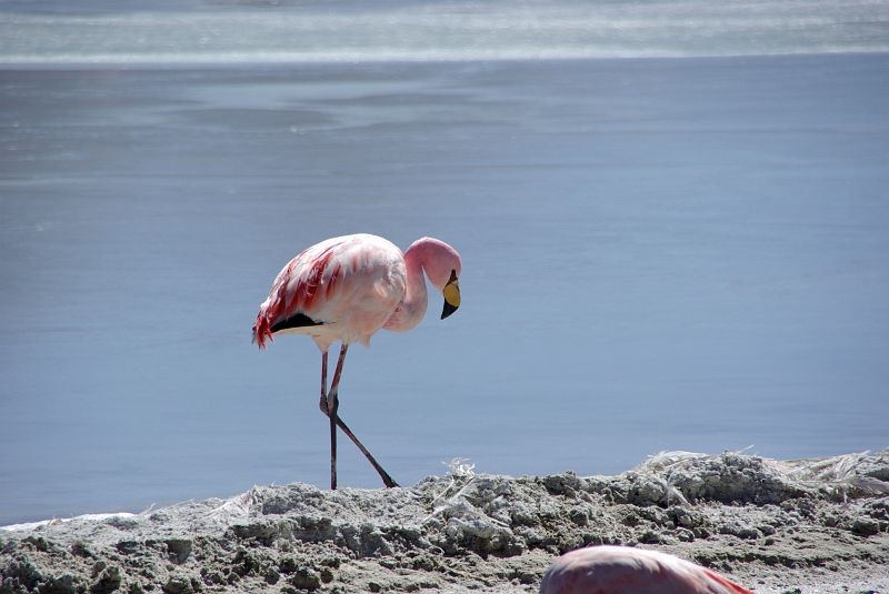 119_IMGP3189.JPG