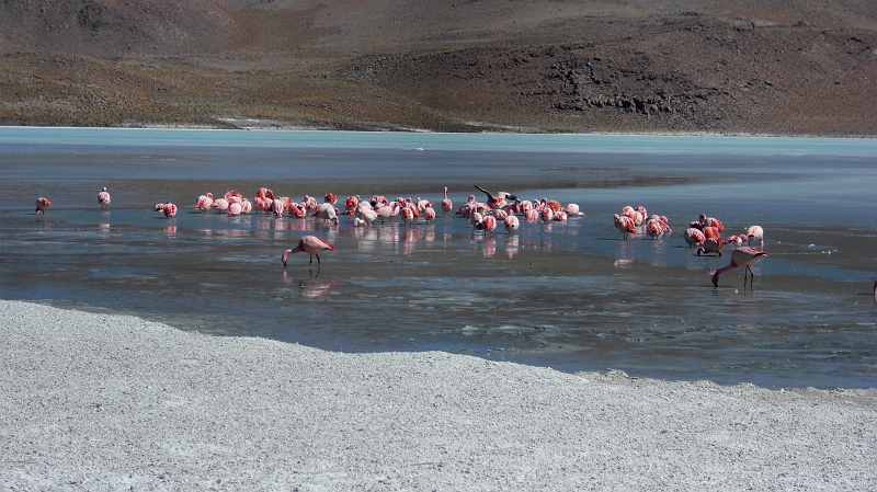 140_CIMG0401.JPG