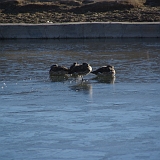 005_IMGP3070