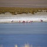 073_IMGP3158