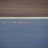 081_IMGP3165