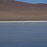 085_IMGP3166