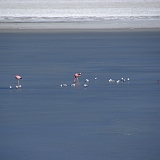 089_IMGP3169
