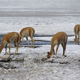 107_IMGP3183