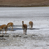111_IMGP3185