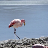 119_IMGP3189