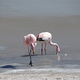 123_IMGP3190