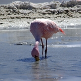127_IMGP3192