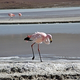 131_IMGP3194
